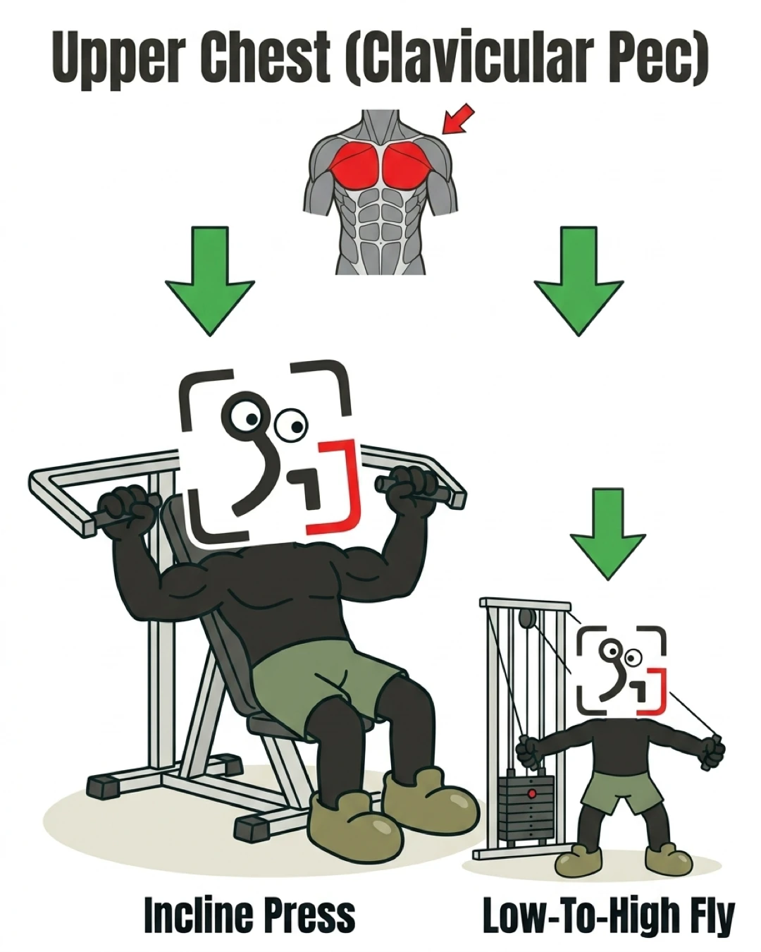 The GainFrame mascot performs incline presses and low-to-high cable flyes to target the upper chest muscles, highlighted in red on a chest anatomy diagram.