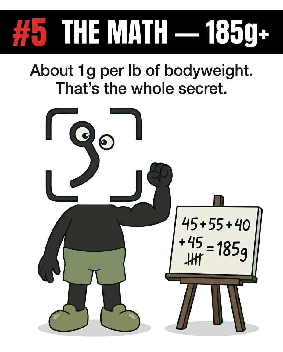 The GainFrame mascot flexes his bicep next to an easel showing the mathematical sum of the day's meals, explaining that consuming around one gram of protein per pound of body weight is the key to meeting daily goals.