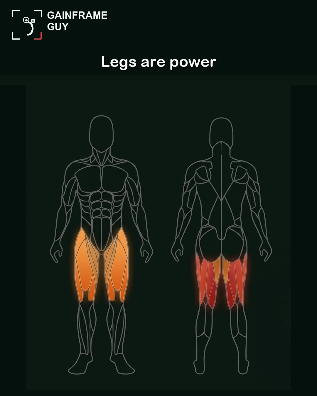 An anatomical outline of the GainFrame mascot with the thigh muscles highlighted in orange and red to represent power.