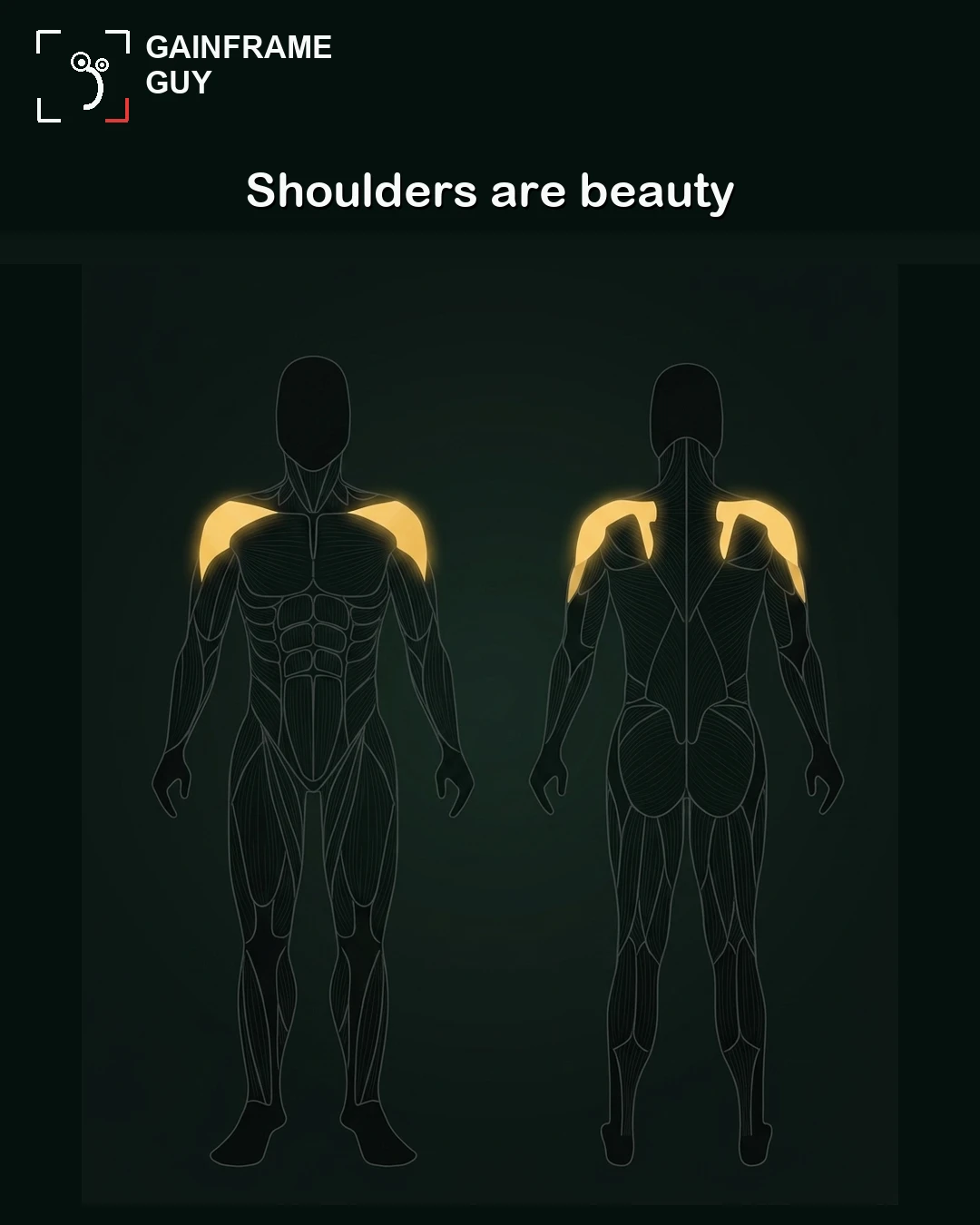 An anatomical outline of the GainFrame mascot with the shoulder muscles highlighted in yellow to represent beauty.