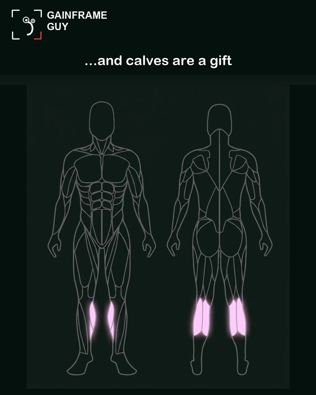 An anatomical outline of the GainFrame mascot with the calf muscles highlighted in pink to represent a genetic gift.