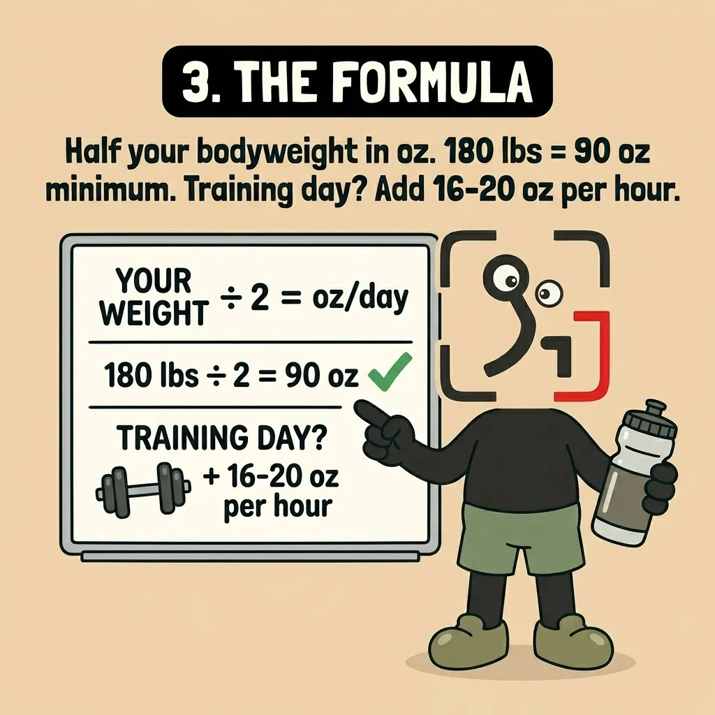 The GainFrame mascot points to a whiteboard explaining the daily water intake formula, which is half your body weight in ounces plus extra for training days.