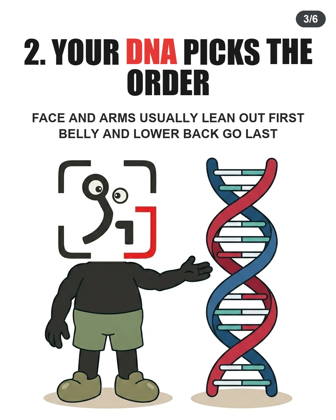 The GainFrame mascot stands next to a DNA double helix model, illustrating that genetics determine the order in which different body parts lose fat.