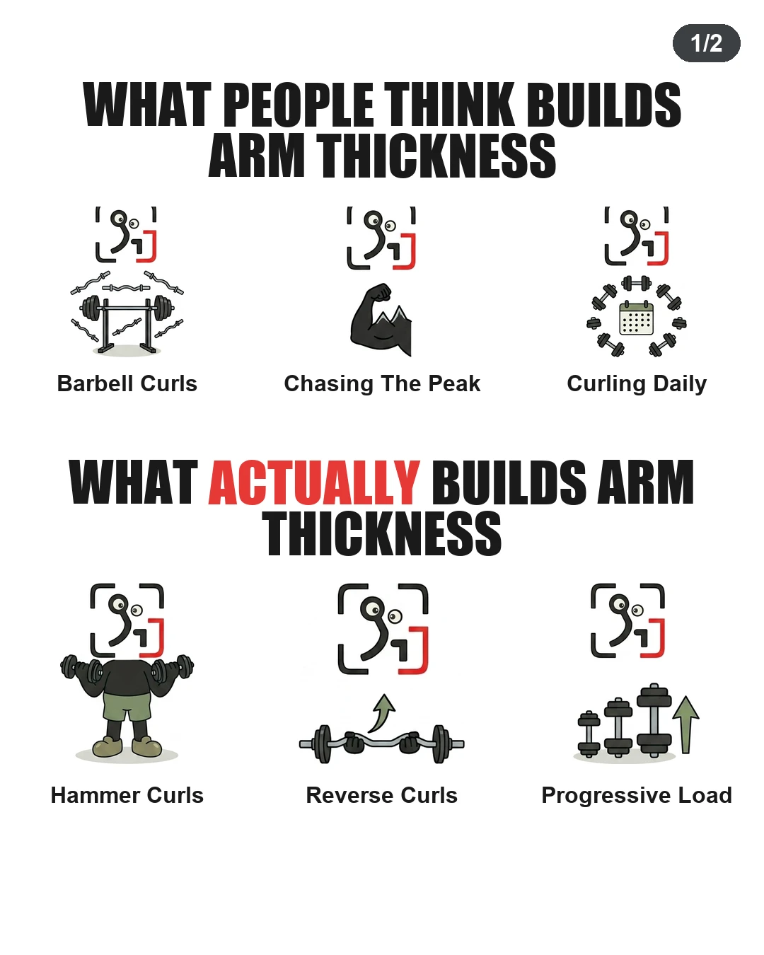 What Actually Builds Arm Thickness?
