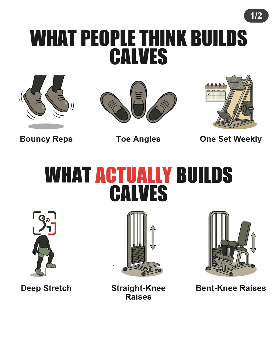 What Actually Builds Calves?