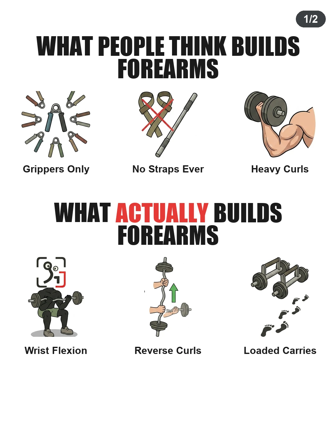 What Actually Builds Forearms?