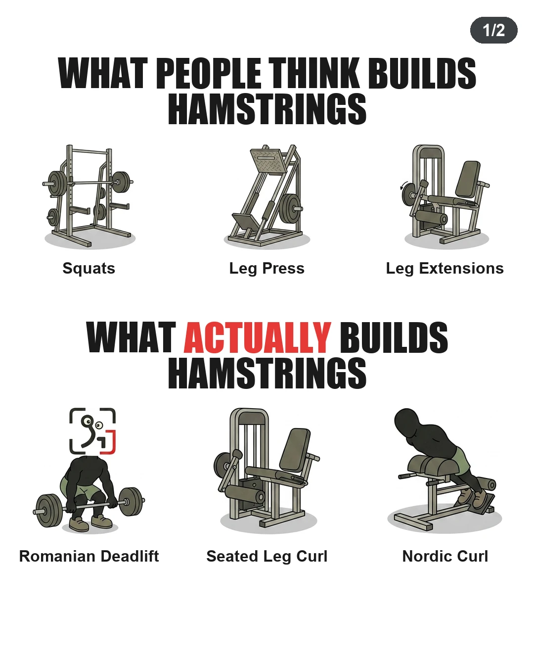 What Actually Builds Hamstrings?