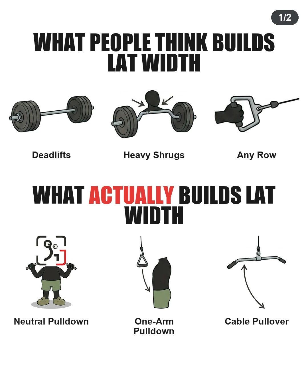 What Actually Builds Lat Width?