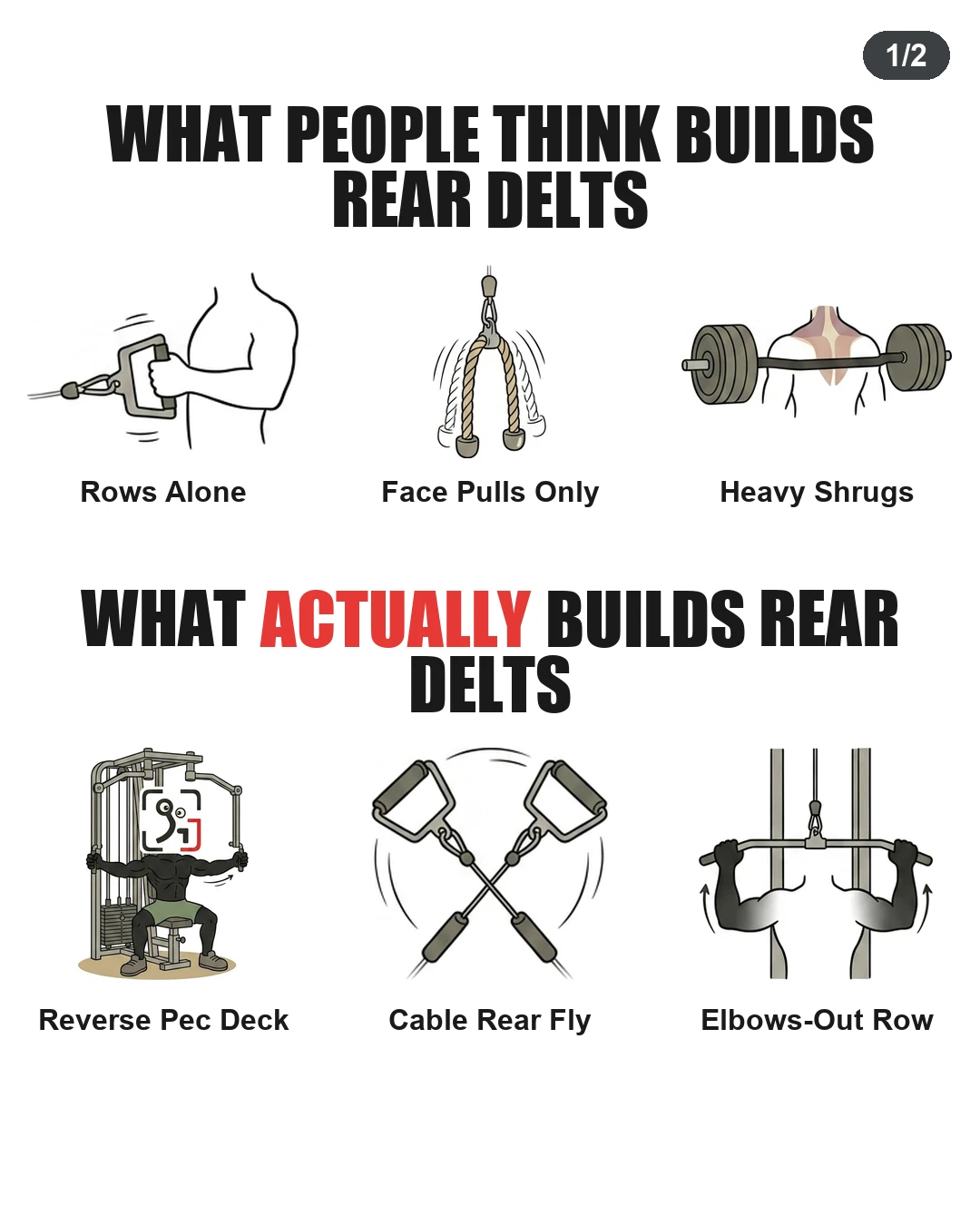 What Actually Builds Rear Delts?