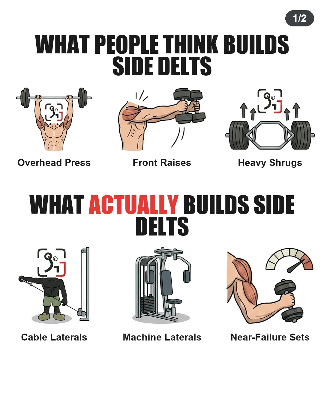 What Actually Builds Side Delts?