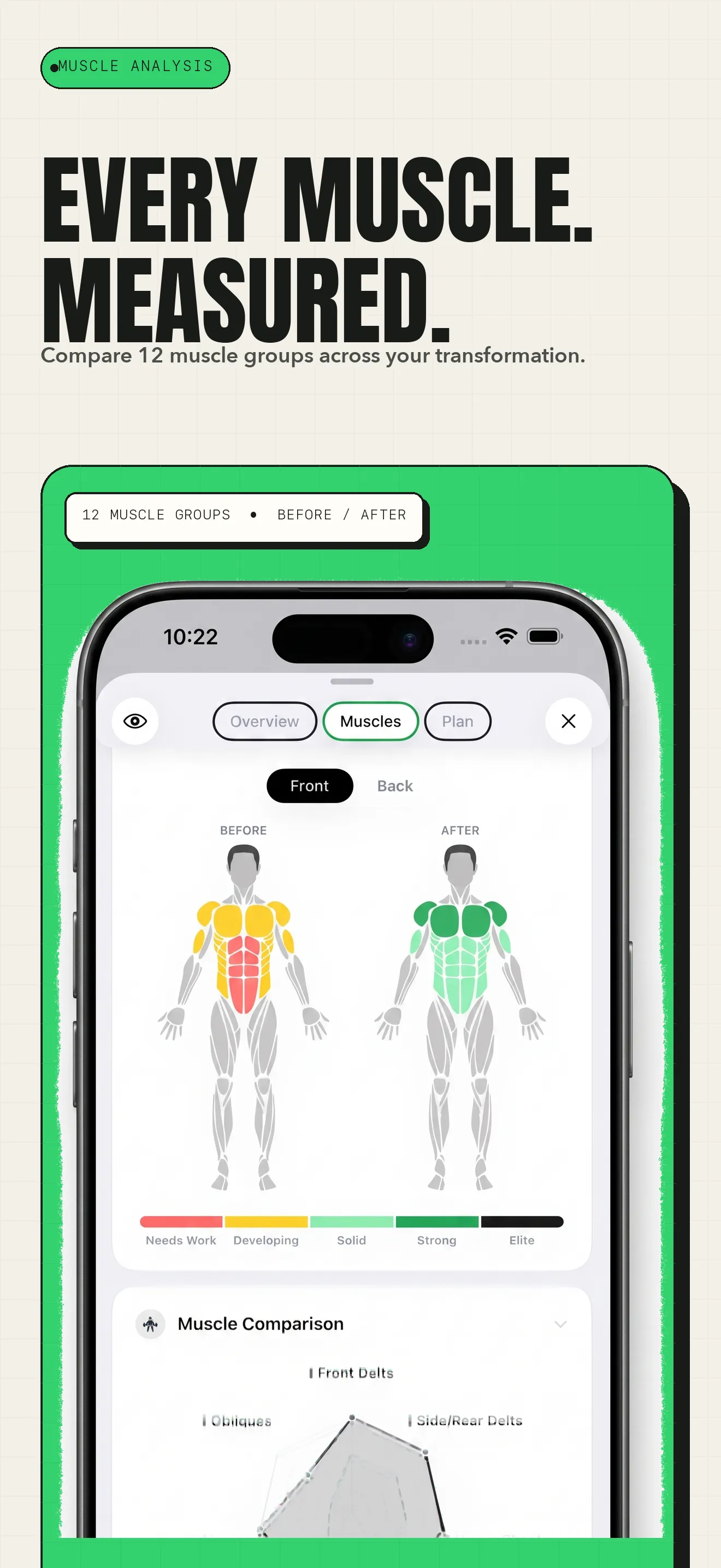 GainFrame muscle analysis comparing before and after muscle maps across 12 groups