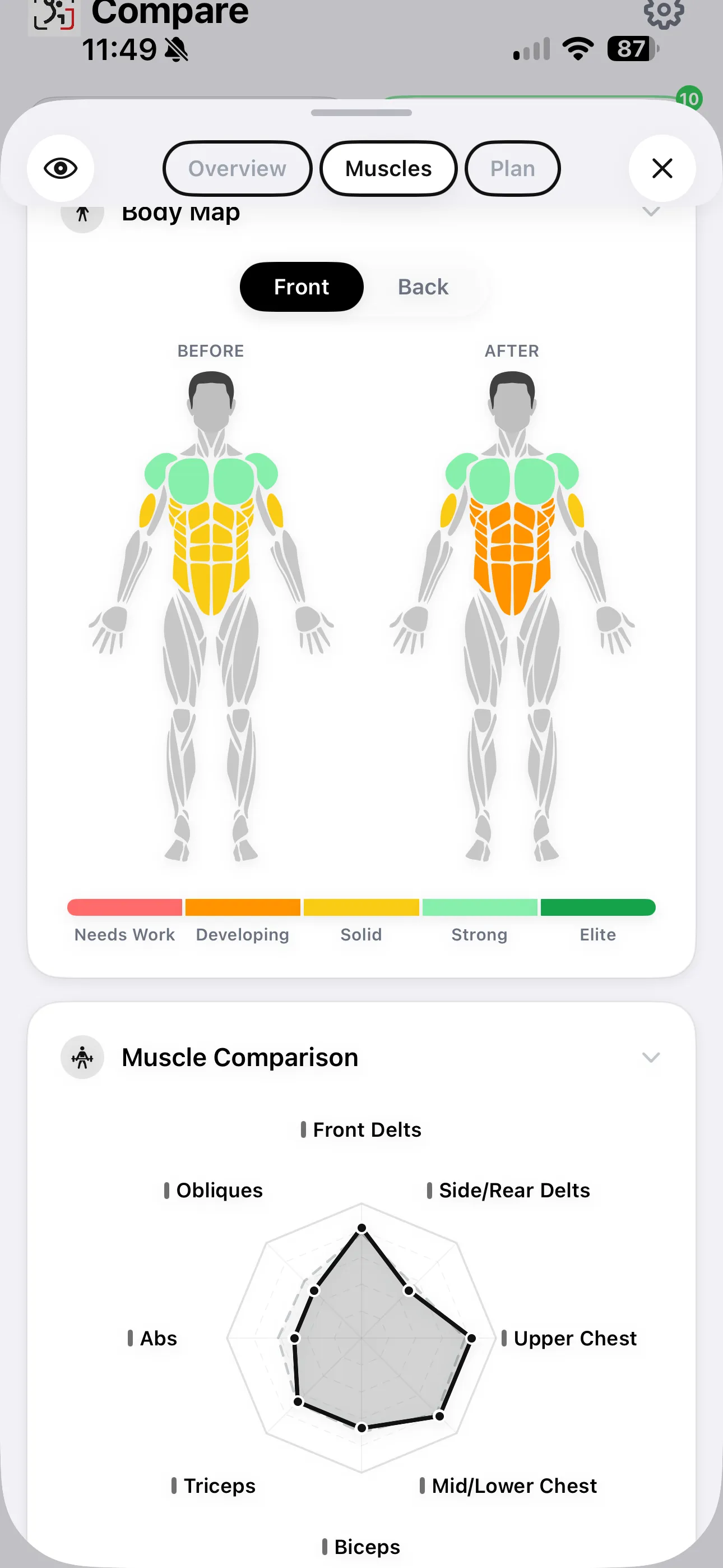 Muscle map showing before and after body coloring with a radar chart comparing 12 individual muscle group ratings