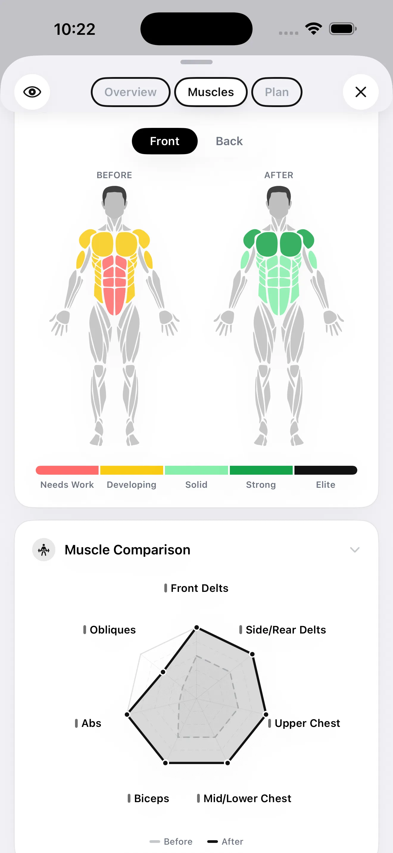 GainFrame muscle map showing muscle development scores across 12 body regions