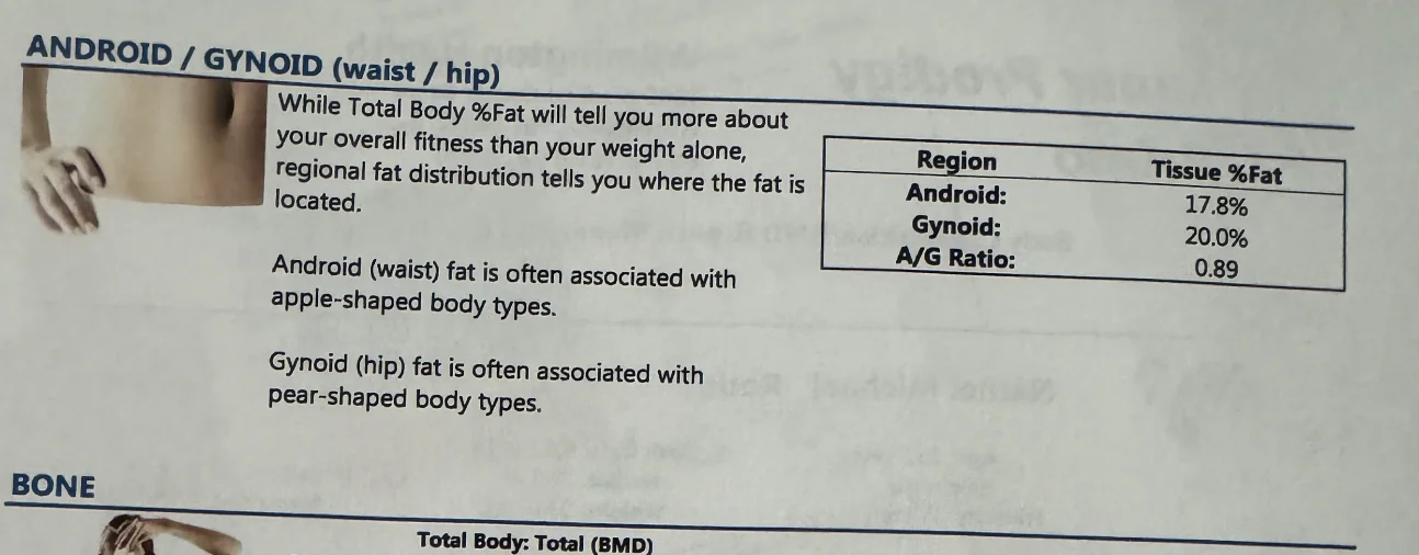 DEXA Waist/Hip ratio