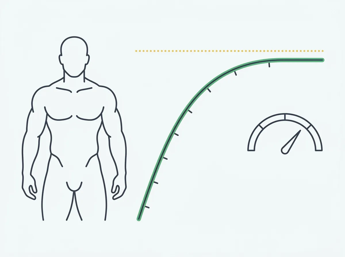 Muscular body silhouette next to a progress S-curve that flattens at a ceiling line, with an FFMI gauge showing the natural training zone